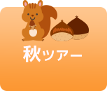 秋ツアー